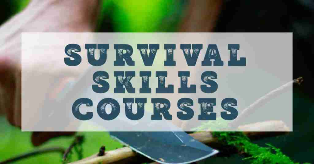 Survival skills courses online