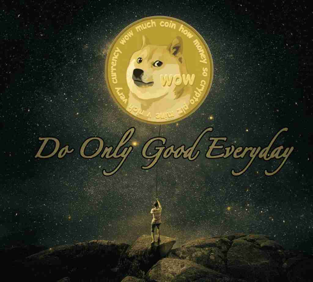 do only good everyday doge