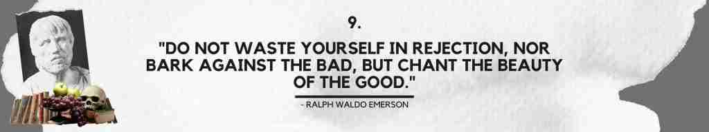 "Do not waste yourself in rejection, nor bark against the bad, but chant the beauty of the good." - Ralph Waldo Emerson