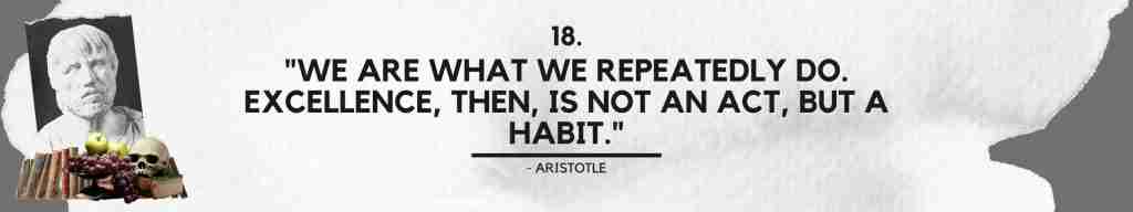 "We are what we repeatedly do. Excellence, then, is not an act, but a habit." - Aristotle