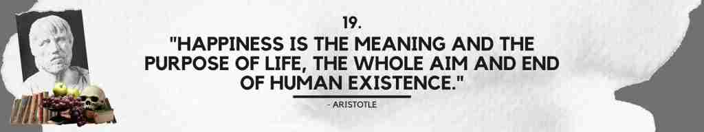 "Happiness is the meaning and the purpose of life, the whole aim and end of human existence." - Aristotle