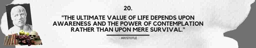"The ultimate value of life depends upon awareness and the power of contemplation rather than upon mere survival." - Aristotle