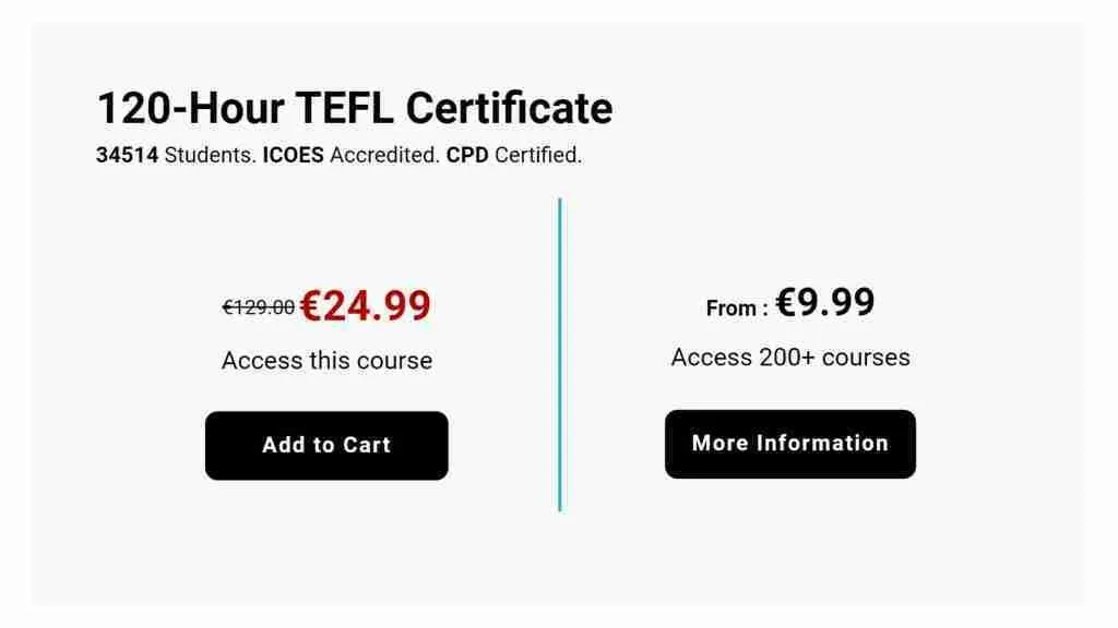 International Open Academy TEFL
